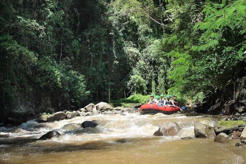 Ayung River White Water Rafting Ubud