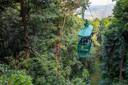 Aerial Tram Tour with Nature Walk
