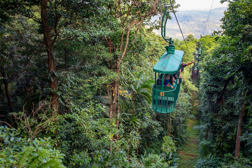 Aerial Tram Tour with Nature Walk