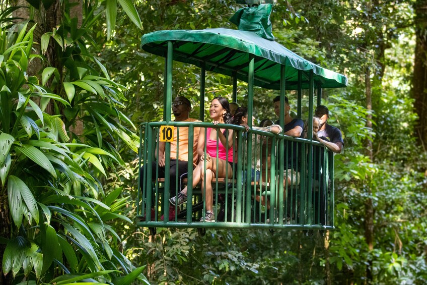 Aerial Tram Tour with Nature Walk