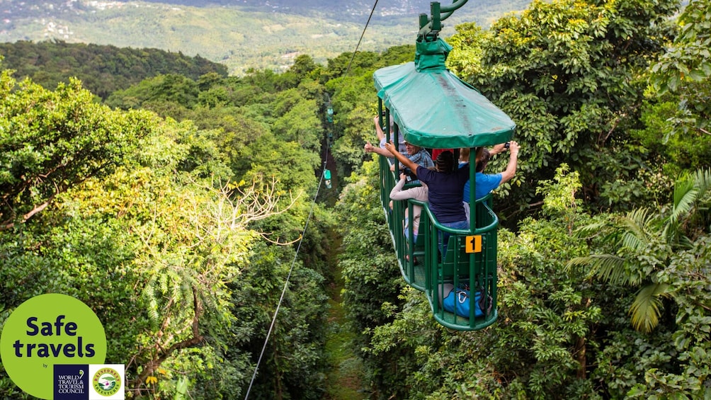Aerial Tram Tour with Nature Walk