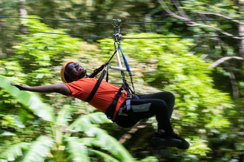 AdrenaLine Zipline