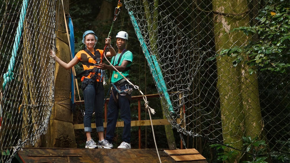 Canopy tour in St. Lucia