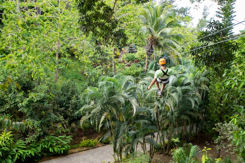 AdrenaLine Zipline