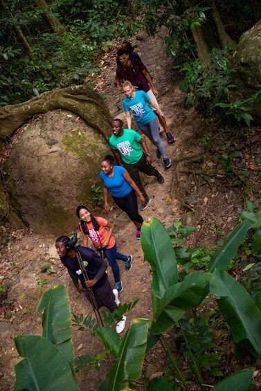 Ultimate 3 Rainforest Adventure; Hike, Tram Ride & Zipline