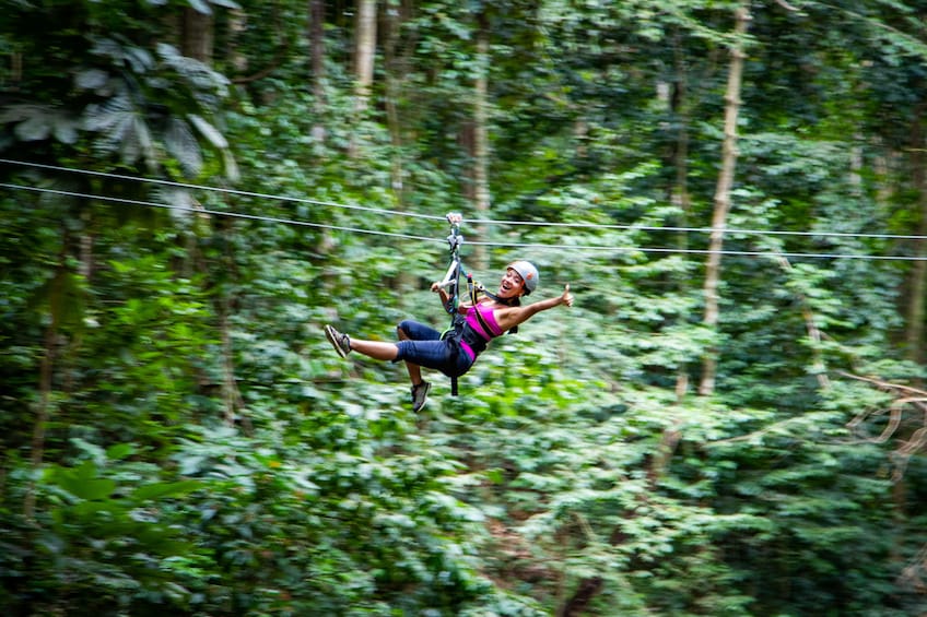 Ultimate 3 Rainforest Adventure; Hike, Tram Ride & Zipline