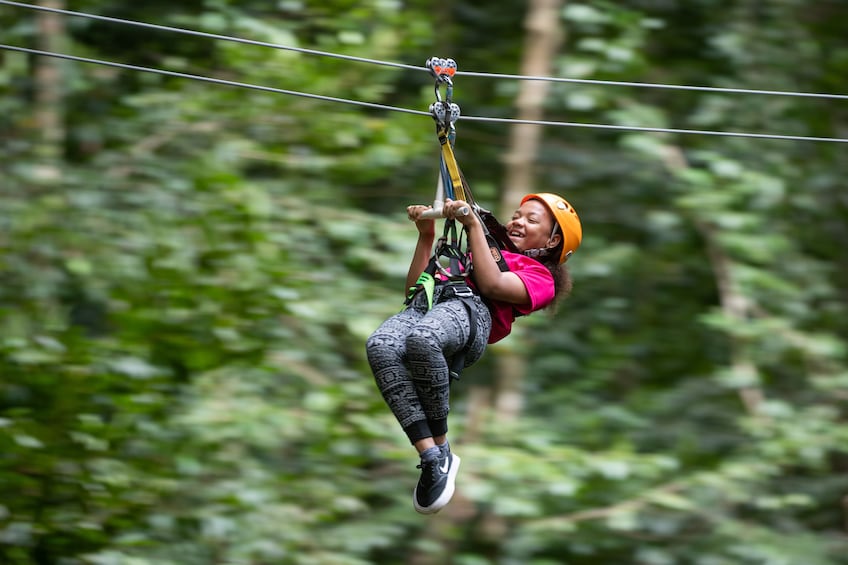 Ultimate 3 Rainforest Adventure; Hike, Tram Ride & Zipline