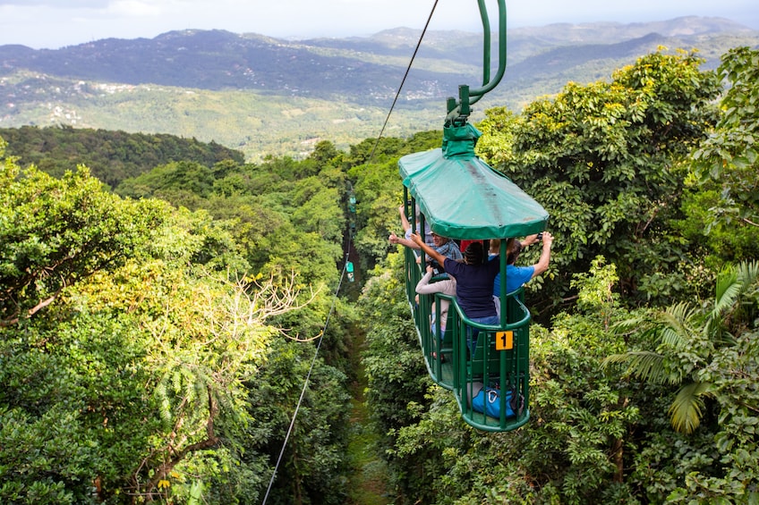 Ultimate 3 Rainforest Adventure; Hike, Tram Ride & Zipline