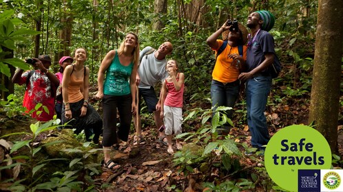 Wanderung auf dem Jacquot Trail - Castries Waterworks Forest Reserve