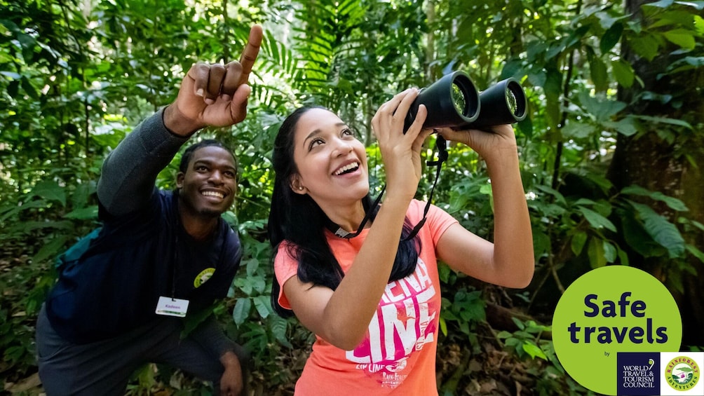 Bird Watching Hike at Castries Waterworks Forest Reserve