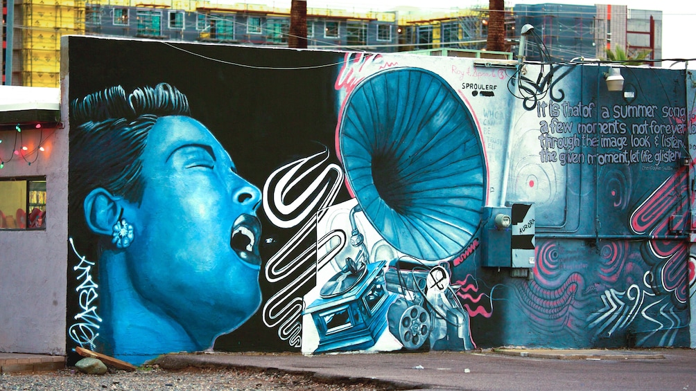 Vibrant street art in Roosevelt Row in Phoenix.