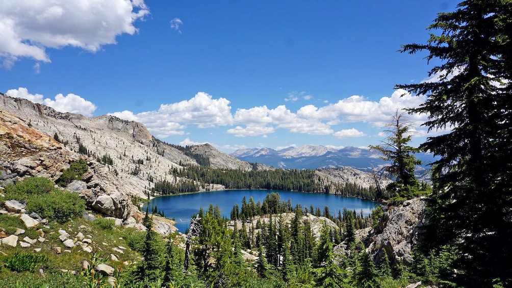 the green and mountainous landscape at Yosemite