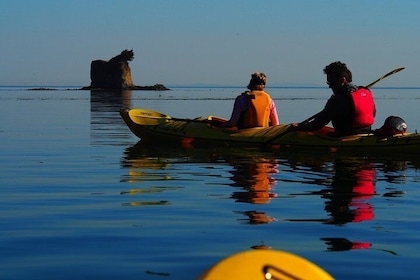 Half-Day Sea Kayaking Trip Near Olympic National Park