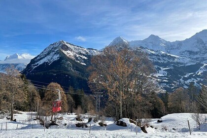 Best of Bernese Oberland & Swiss Countryside (Private Tour)