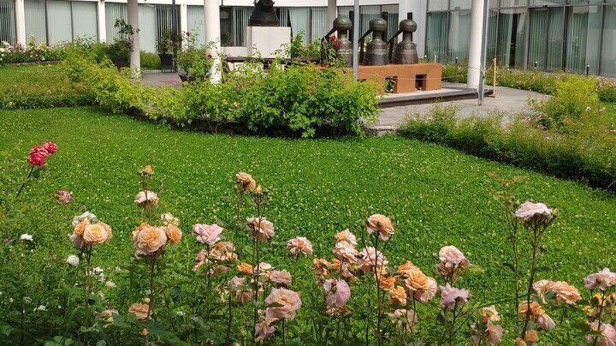 Private Virtual Tour of the Bulgarian Roses and Rose Oil