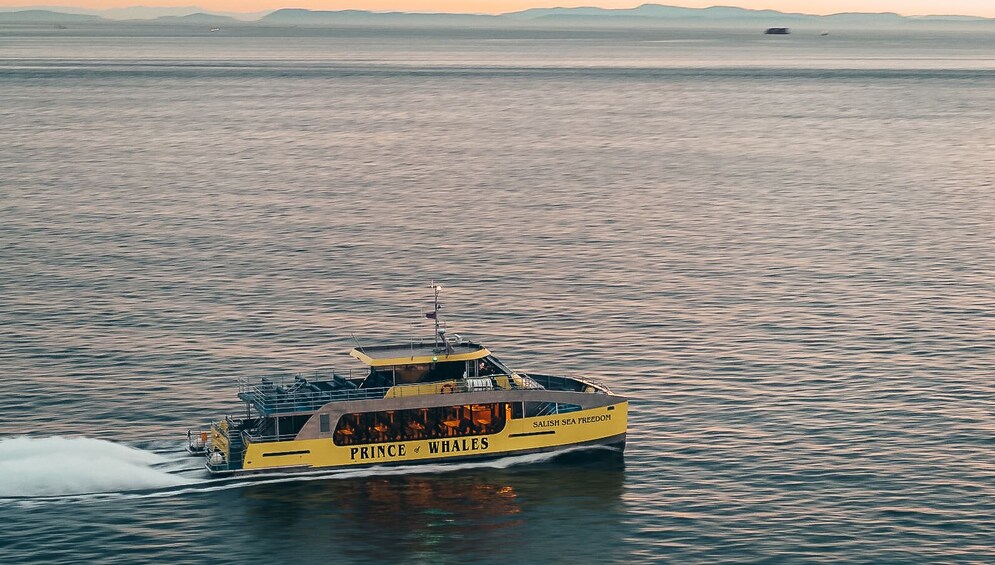 Half-Day Whale Watching From Vancouver