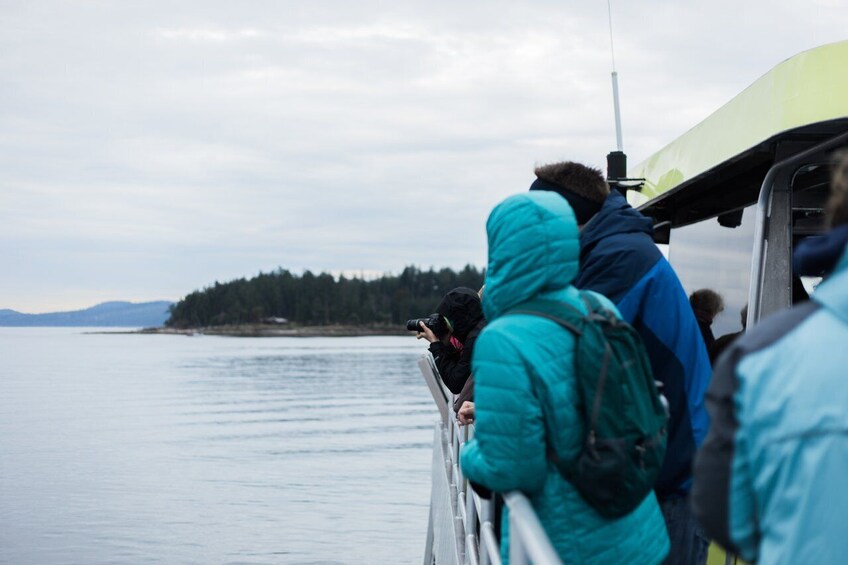 Cargar ítem 4 de 10. Half-Day Whale Watching (Vancouver, BC)