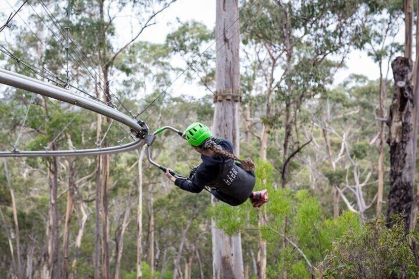 Shockwave Zip Coaster Experience in Lorne