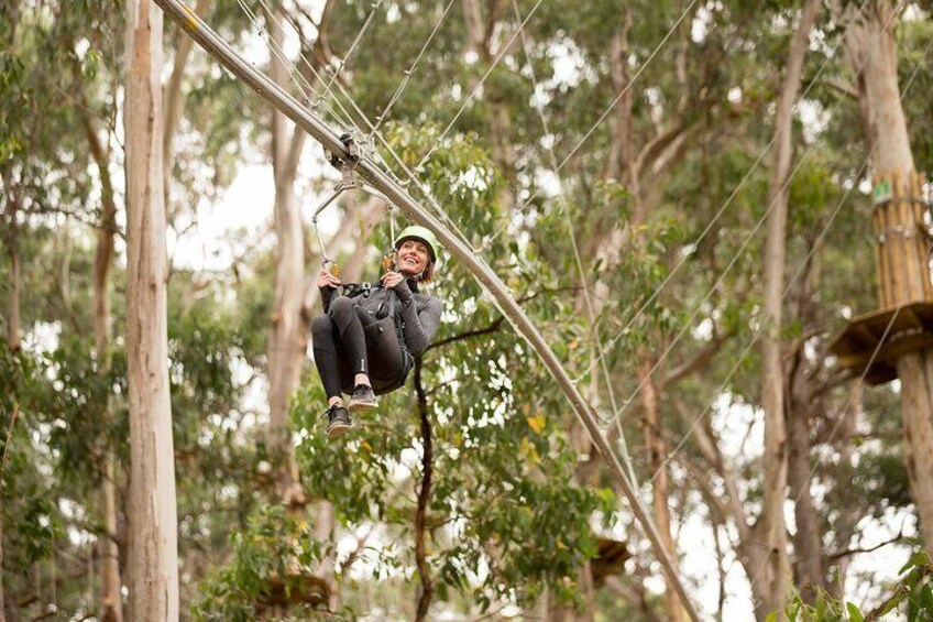 Shockwave Zip Coaster Experience in Lorne
