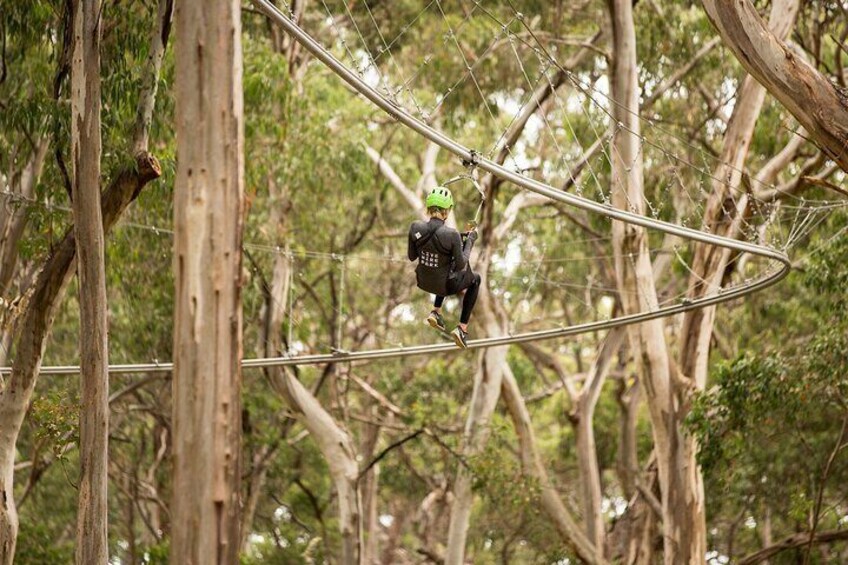 Shockwave Zip Coaster Experience in Lorne