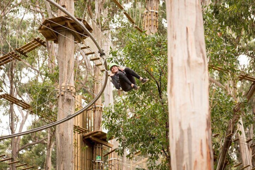 Shockwave Zip Coaster Experience in Lorne