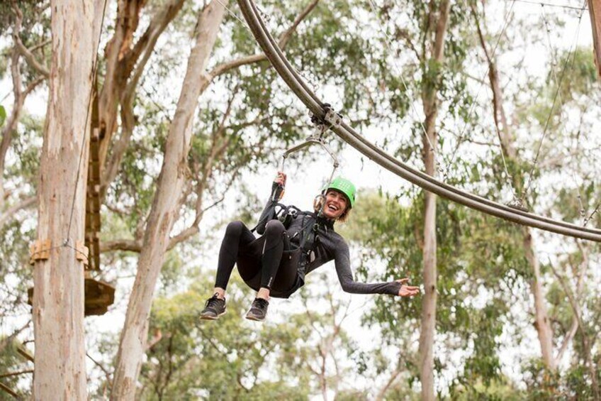 Private Shockwave Zip Coaster Experience in Lorne
