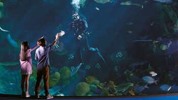 SEA LIFE Bangkok Ocean World Tickets