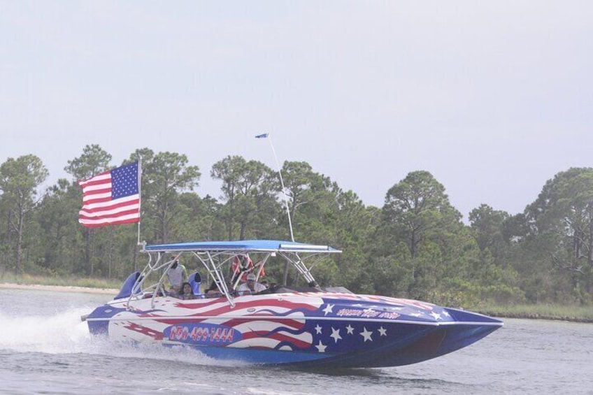  Private Dolphin Spotting Thrill Ride in Destin