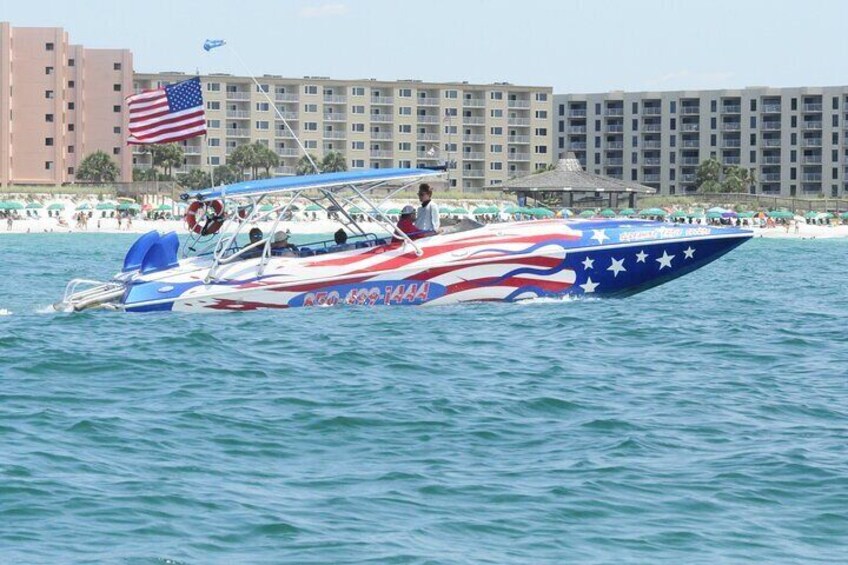 1-Hour Private Dolphin Cruise in Florida