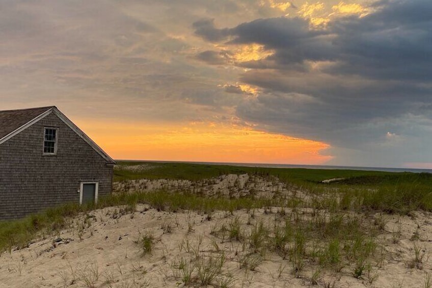 Race Point Beach & Herring Cove Tour