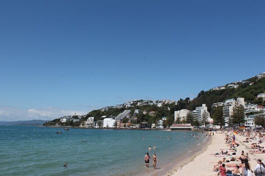 Oriental Bay