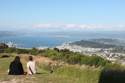 Tour panorámico de día completo en Wellington