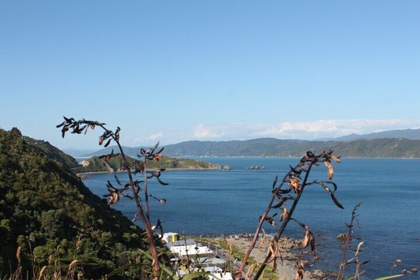 Breaker Bay, Wellington