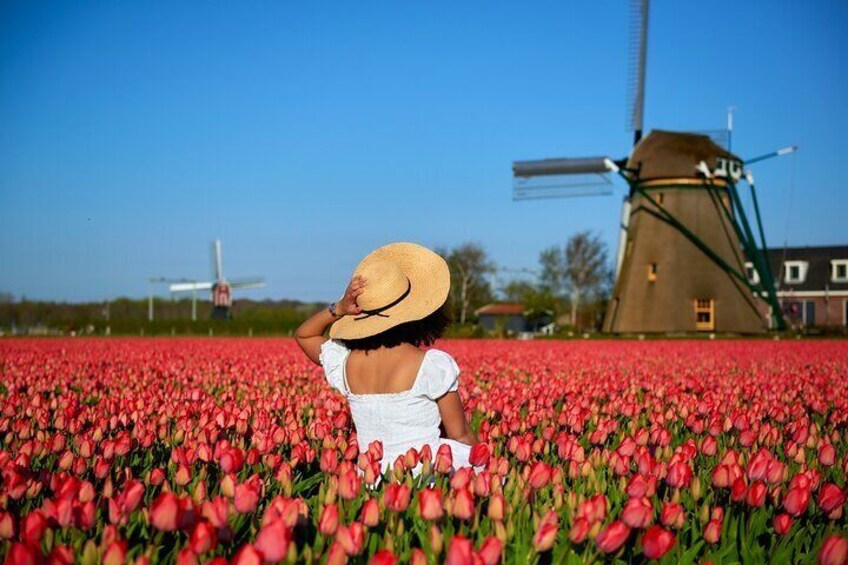 Tulip Fields Photoshoot