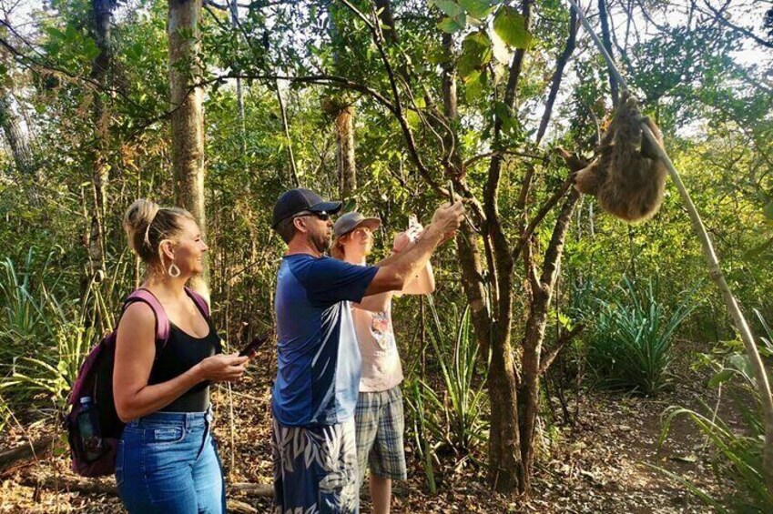 Sloth Sanctuary WildLife Hike