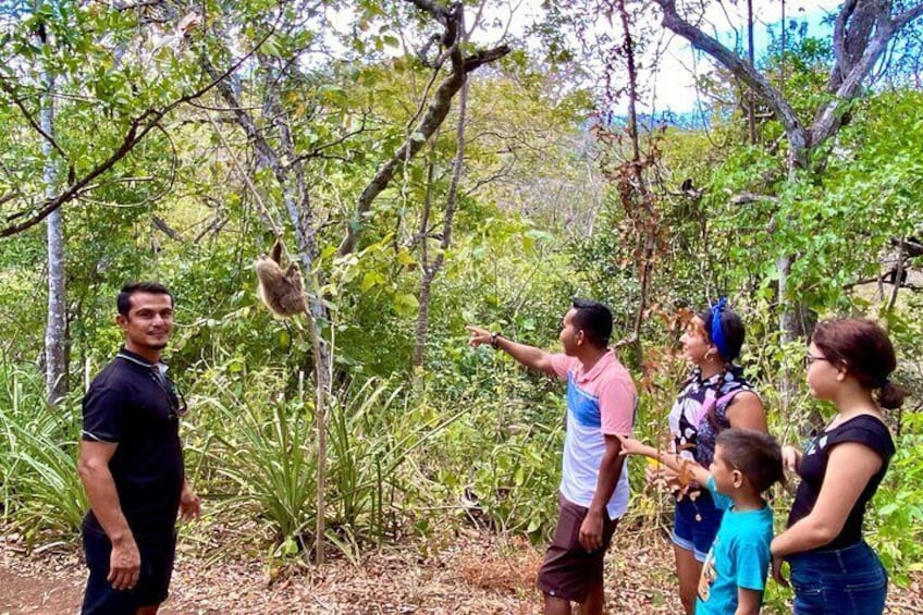 Kids love this adventure