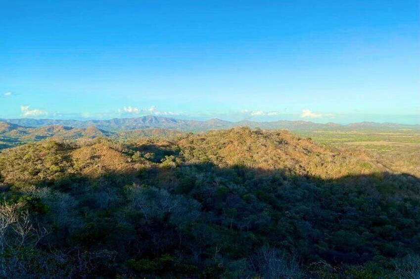 The view from the top of the hill.