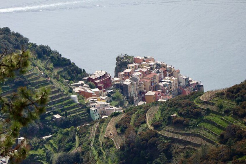 Above Manarola, coming down