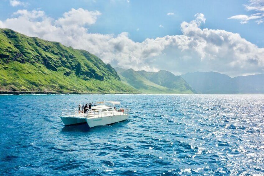 Spacious 40passenger catamaran boat