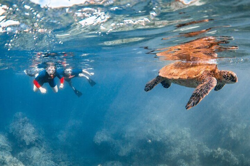 Molokini Crater and Turtle Town Snorkeling From Kihei