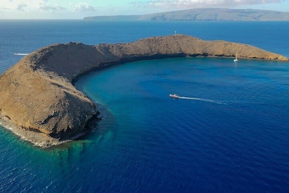 4-HR Molokini Crater + Turtle Town Snorkeloplevelse