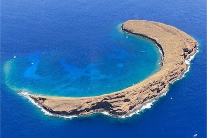 4-Hour Molokini Crater plus Turtle Town Snorkeling Experience