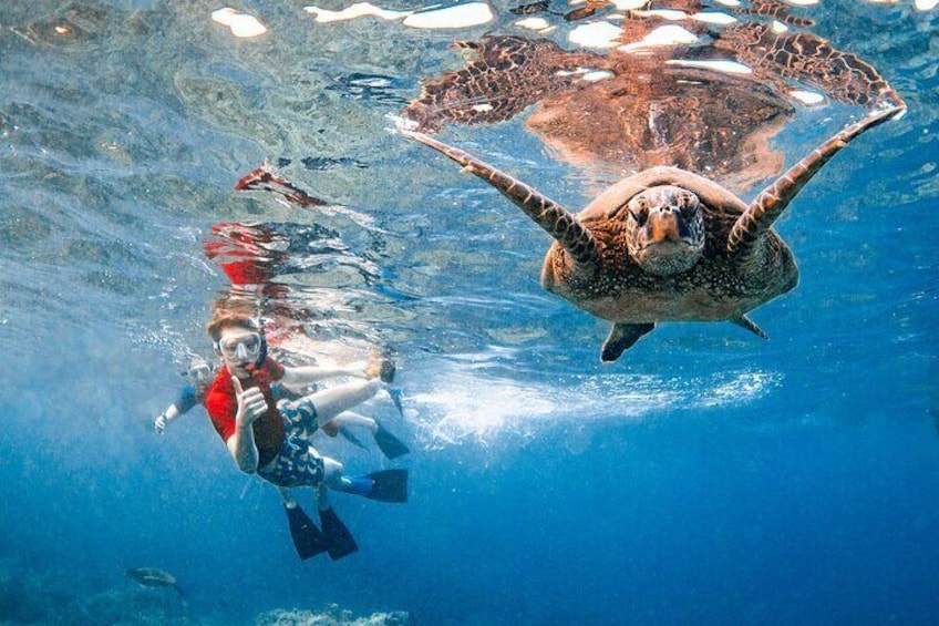 Molokini Crater and Turtle Town Snorkeling From Kihei