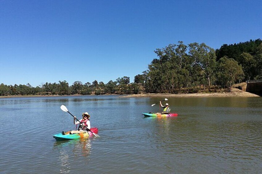 2-Hour Kayaking Experience in Barossa Valley