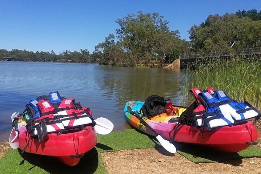 2-Hour Kayaking Experience in Barossa Valley