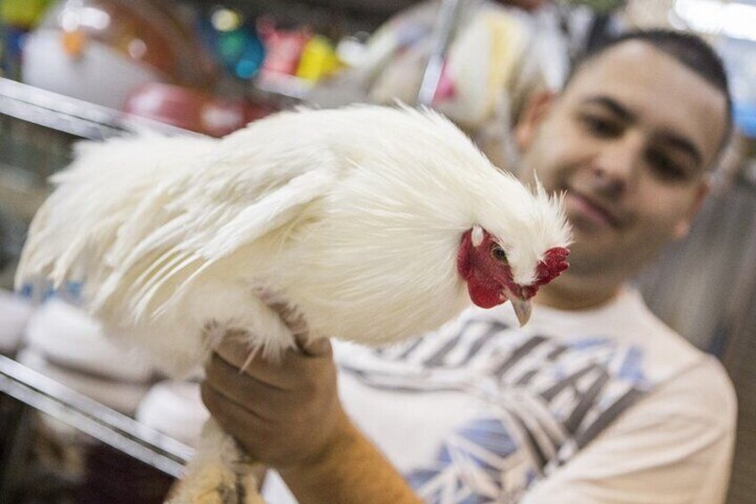 our friends in the Central Market