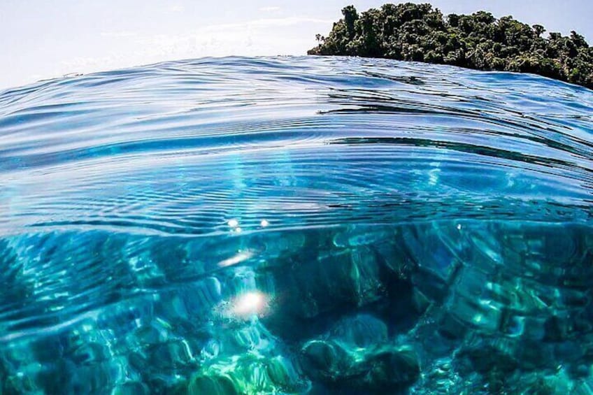 Snorkeling Tour in Caño Island with Lunch