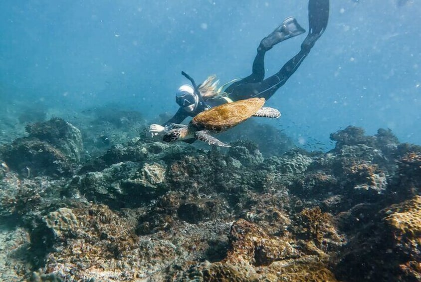 Snorkeling Tour in Caño Island with Lunch