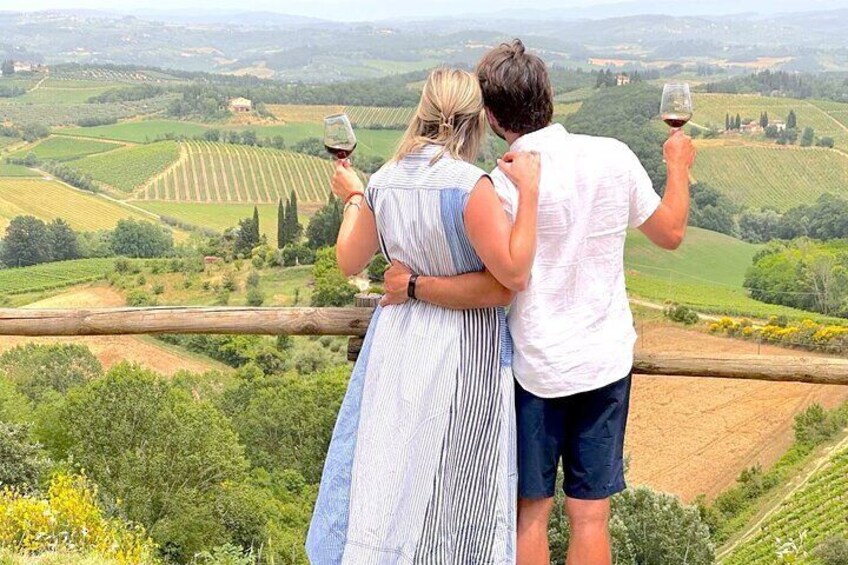 Wine Tasting tour from San Gimignano area 