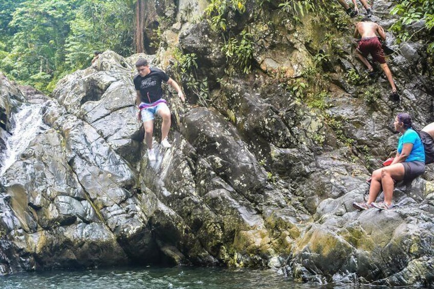 Vivid Day Tour in El Yunque Rain Forest